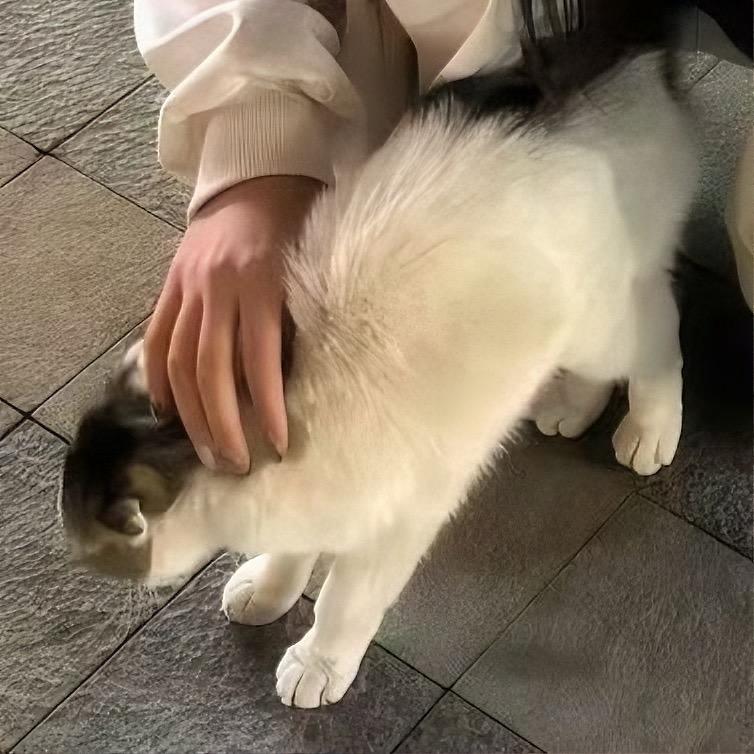 宏宏睡不醒💤