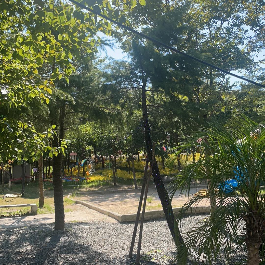 此号已注销，一切归零