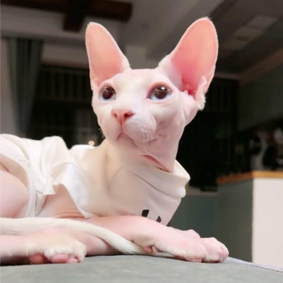 阿杰