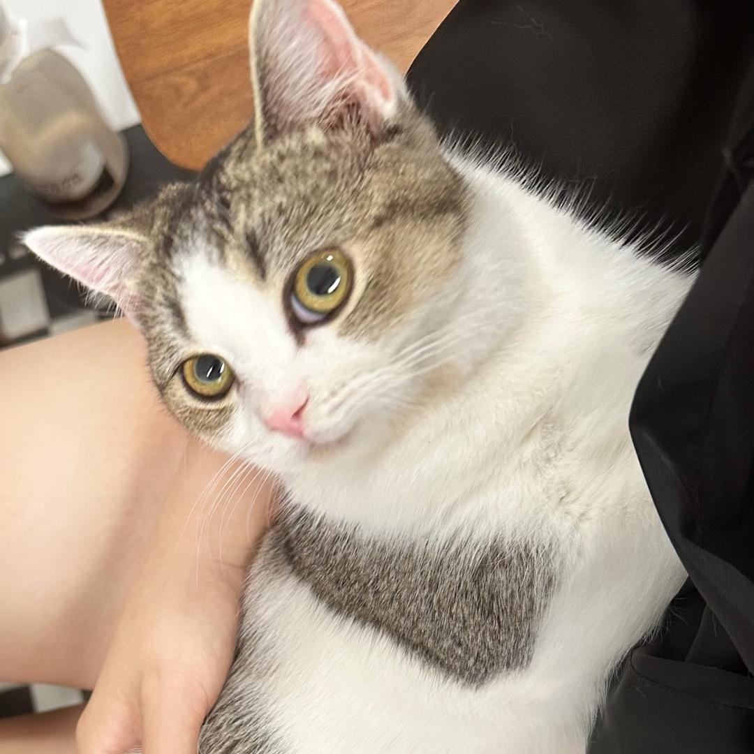 云洁优品小铺