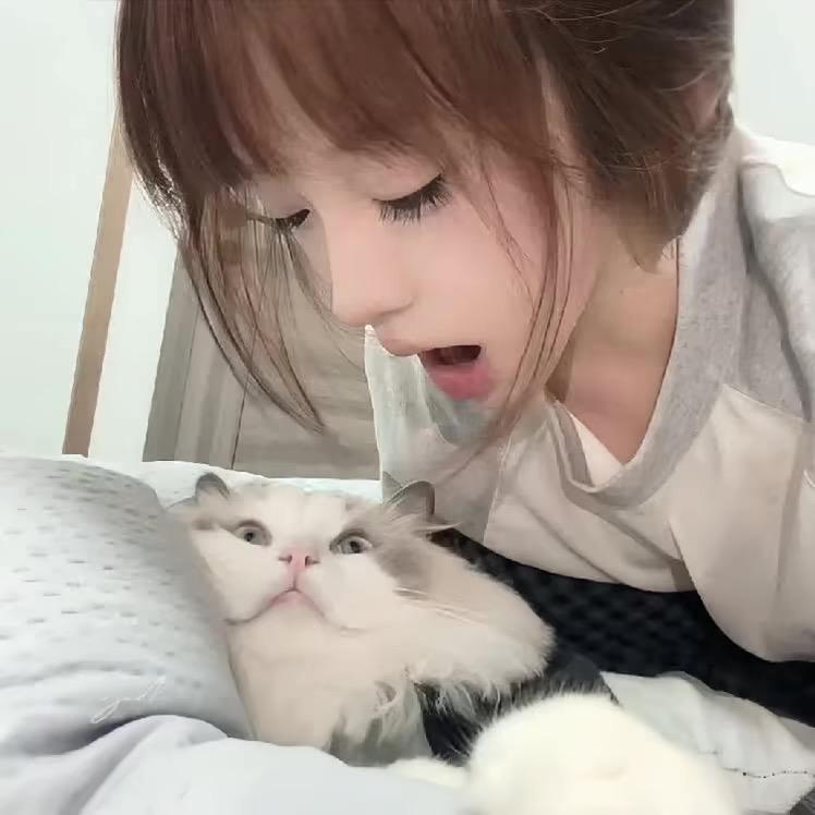 我想养只猫