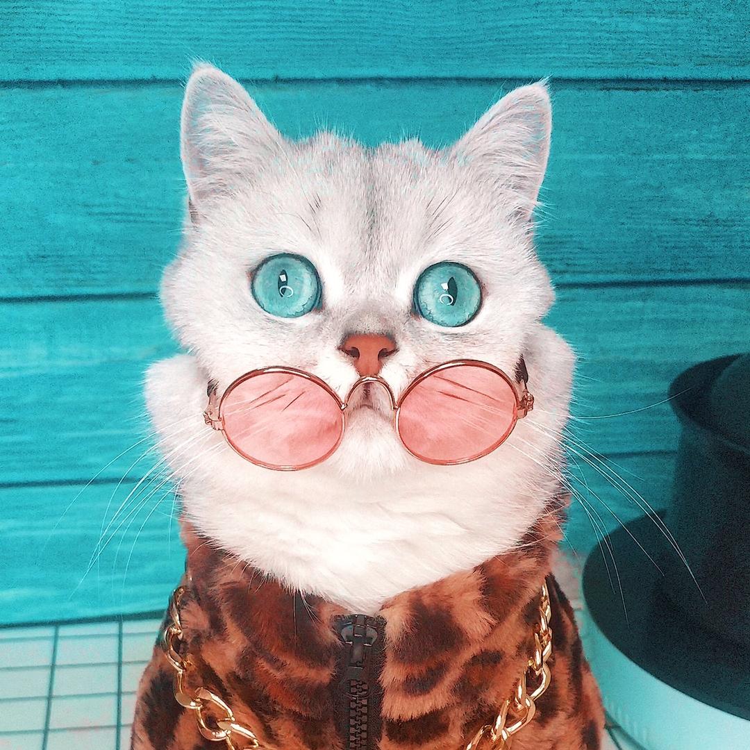 熊猫的日常