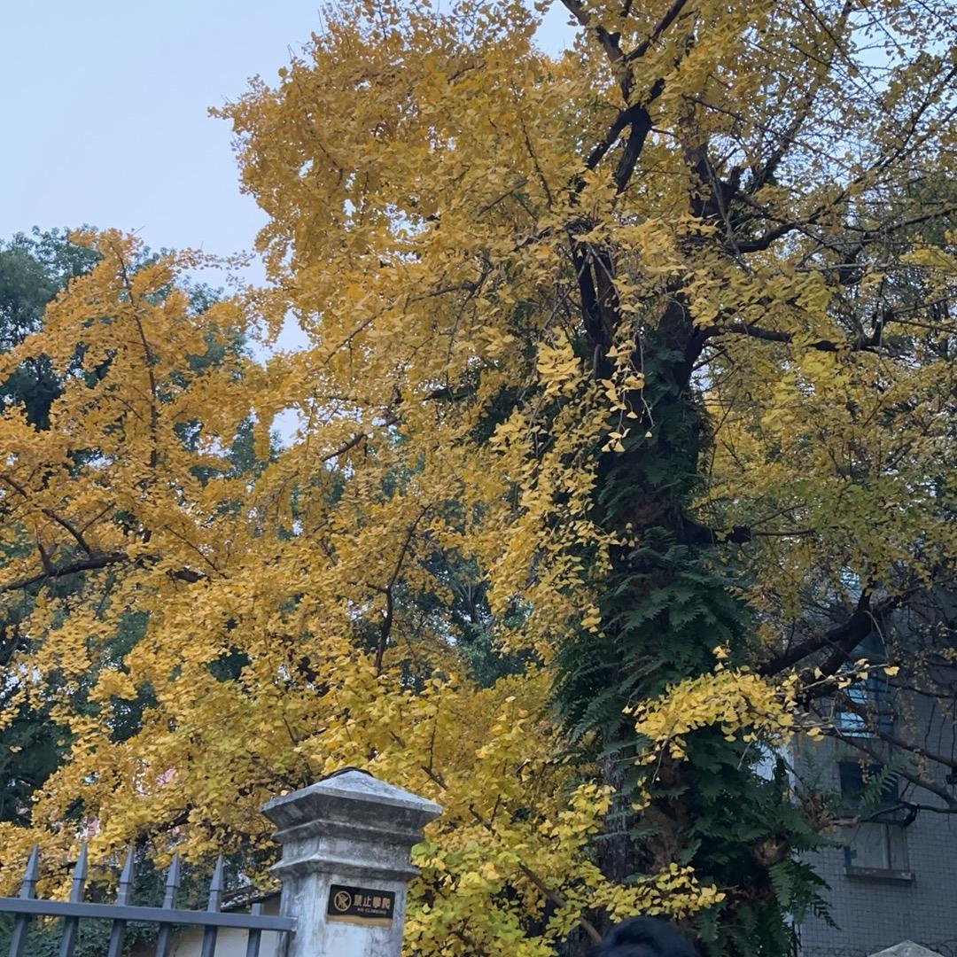 小阿姨要发财