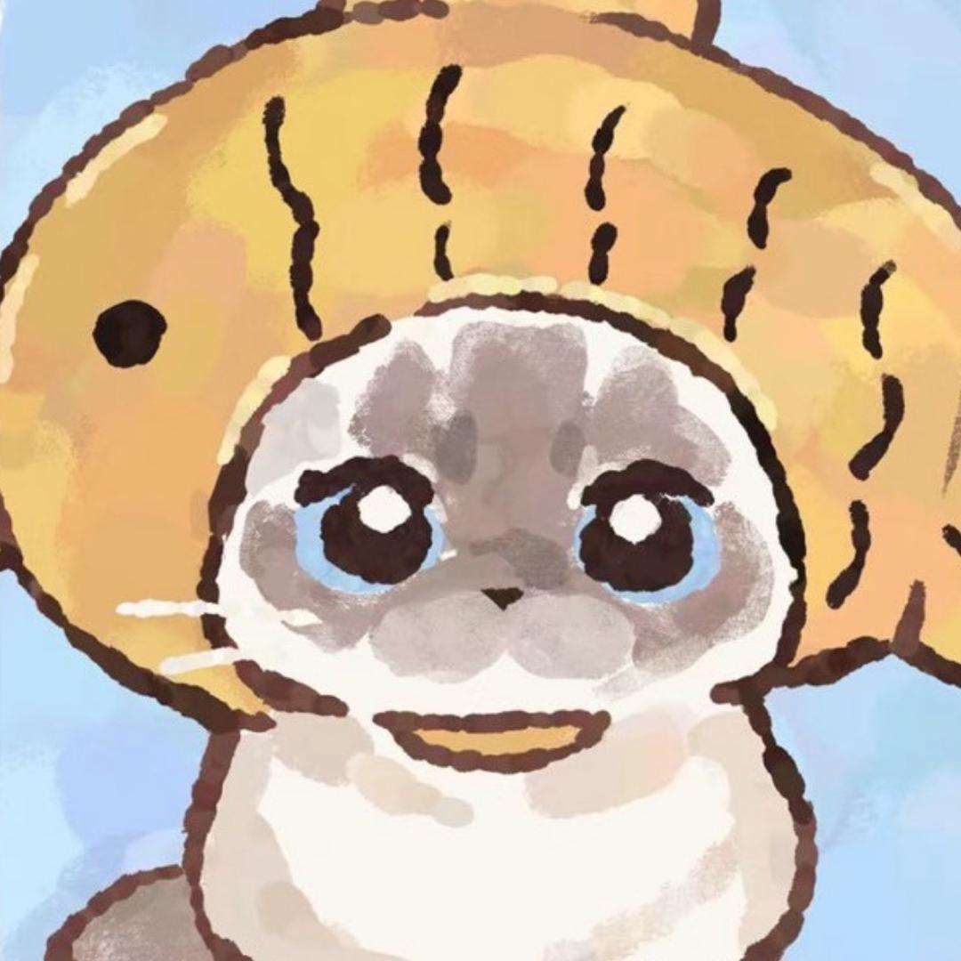 加啡猫猫头