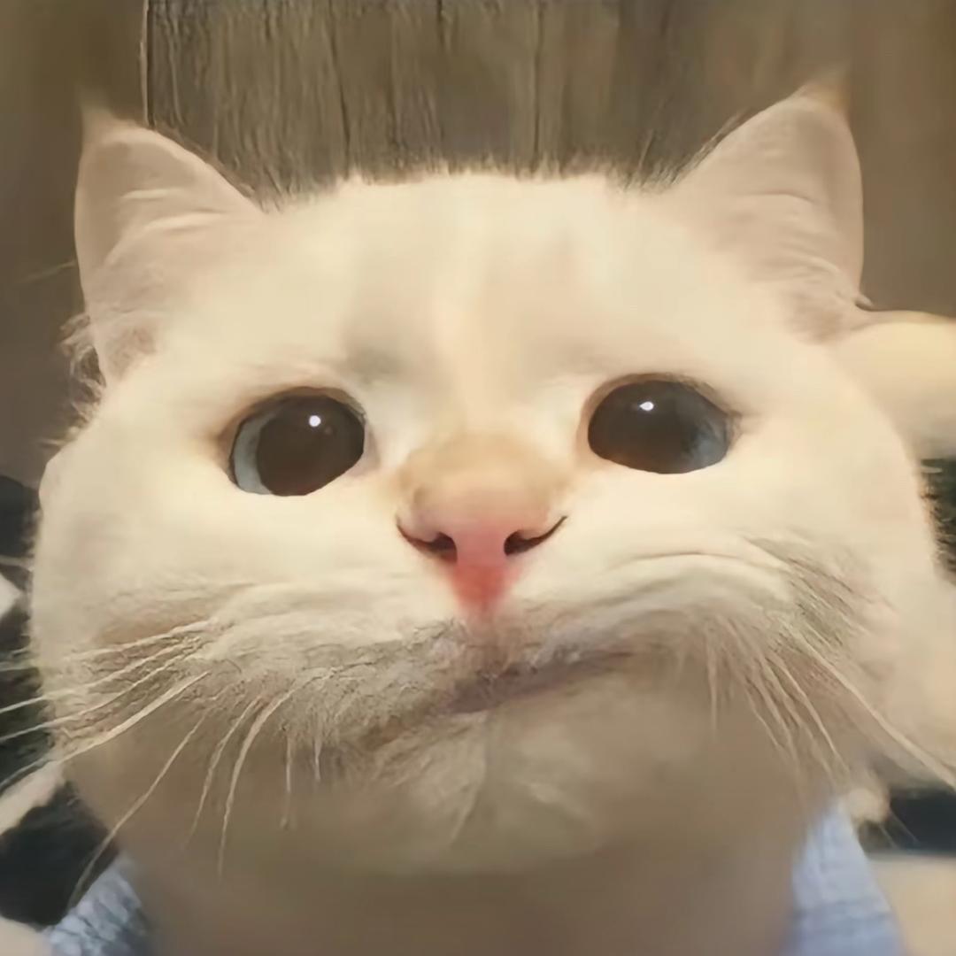 某一段歌词
