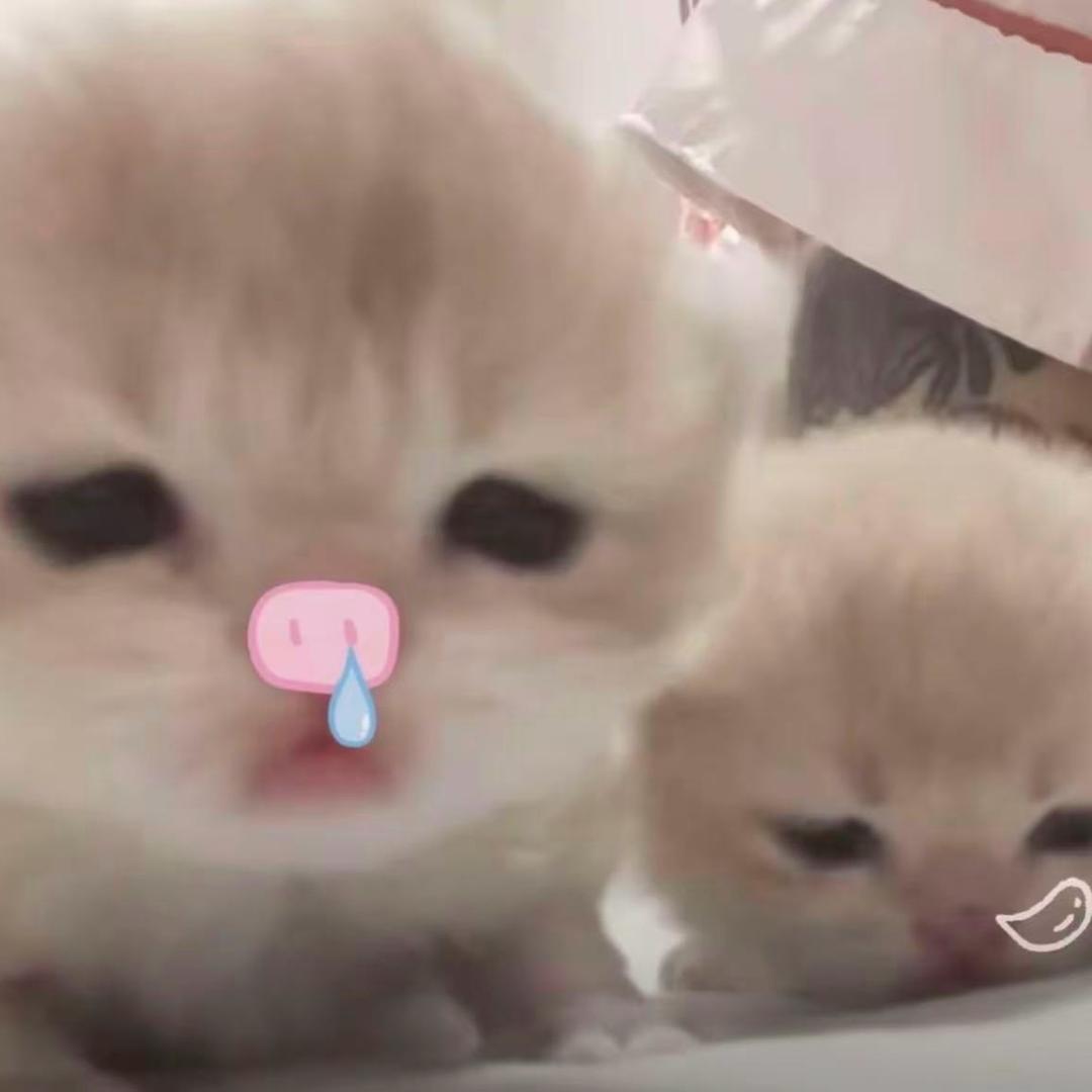 我男朋友很可爱