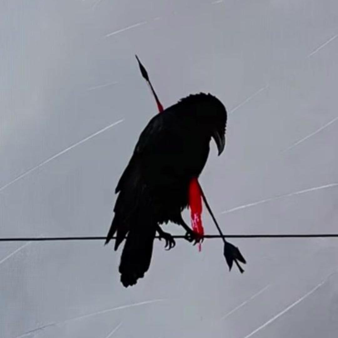 我不后悔遇见你