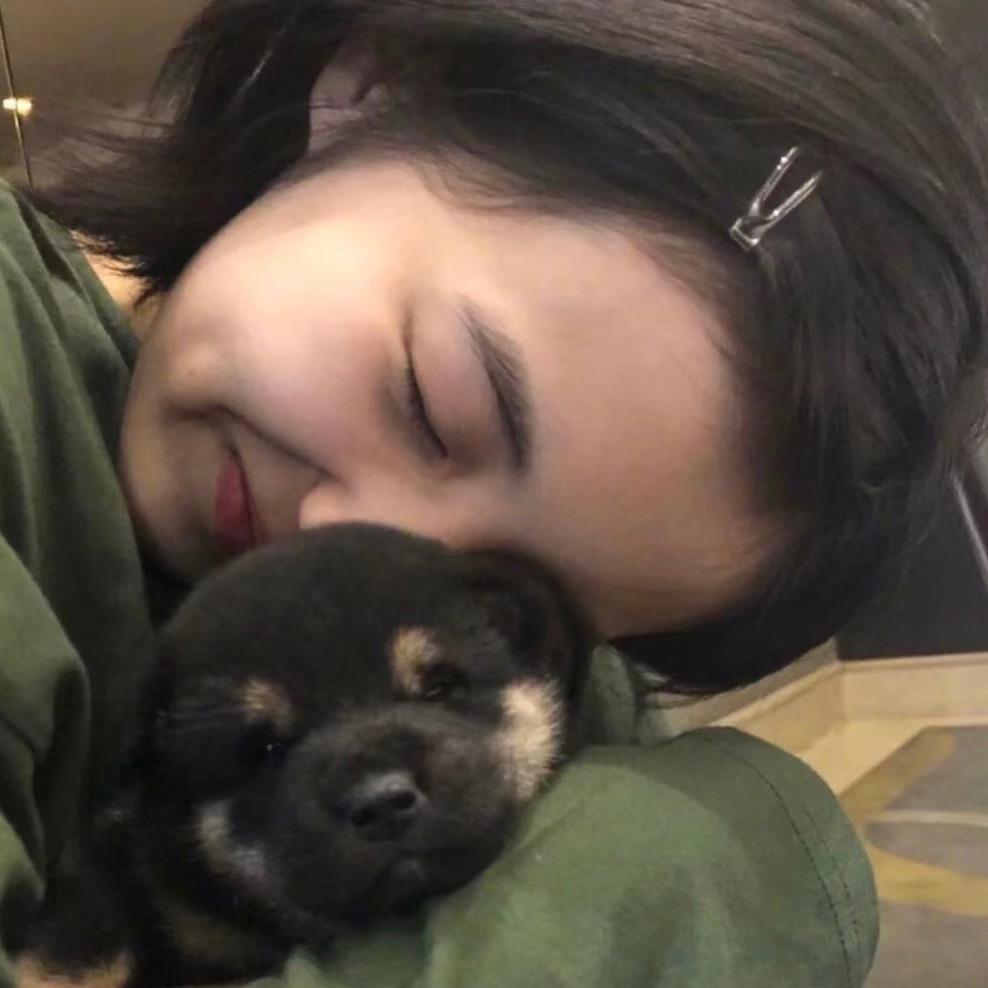 青青草原懒羊羊