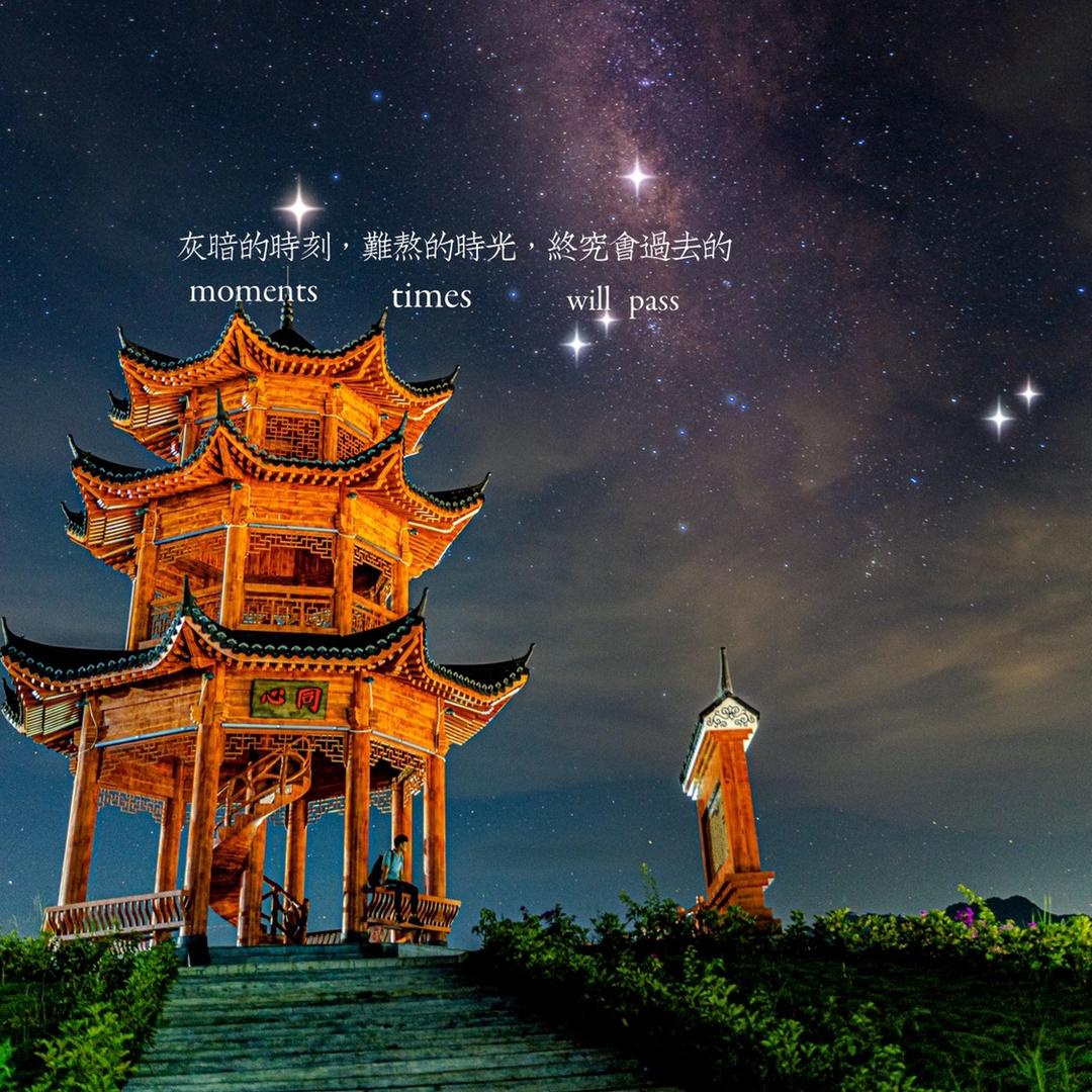 星艺小猪