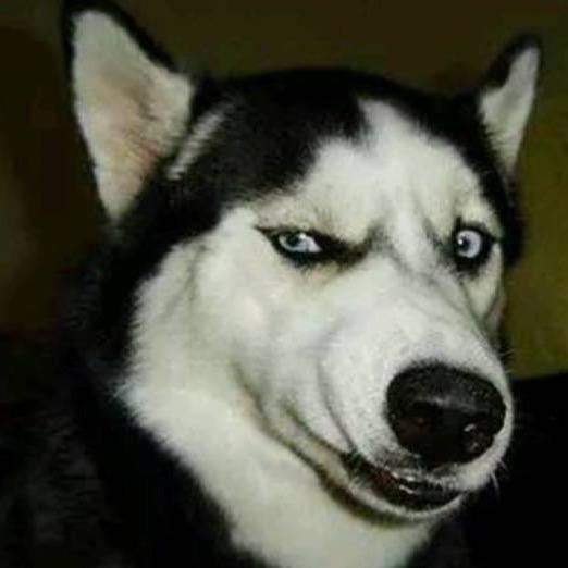 如梦                〰️