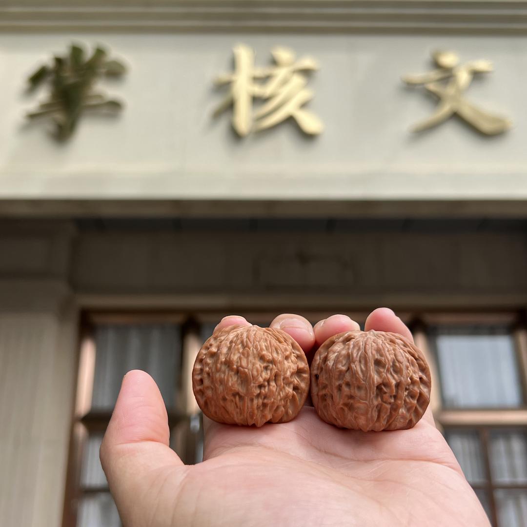 掌核核桃
