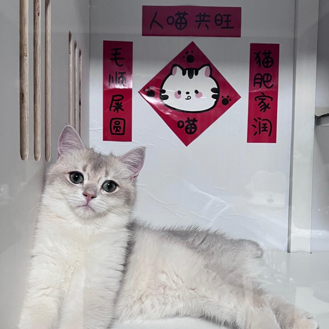 狂奔的蜗牛小c