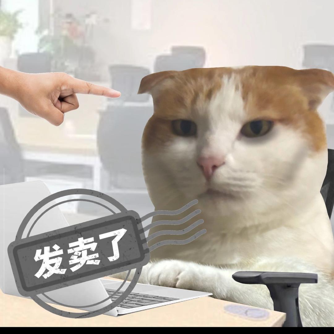 无名字啊
