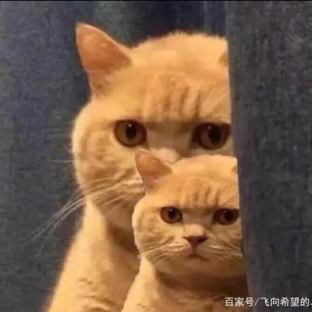 阳光微笑🌻