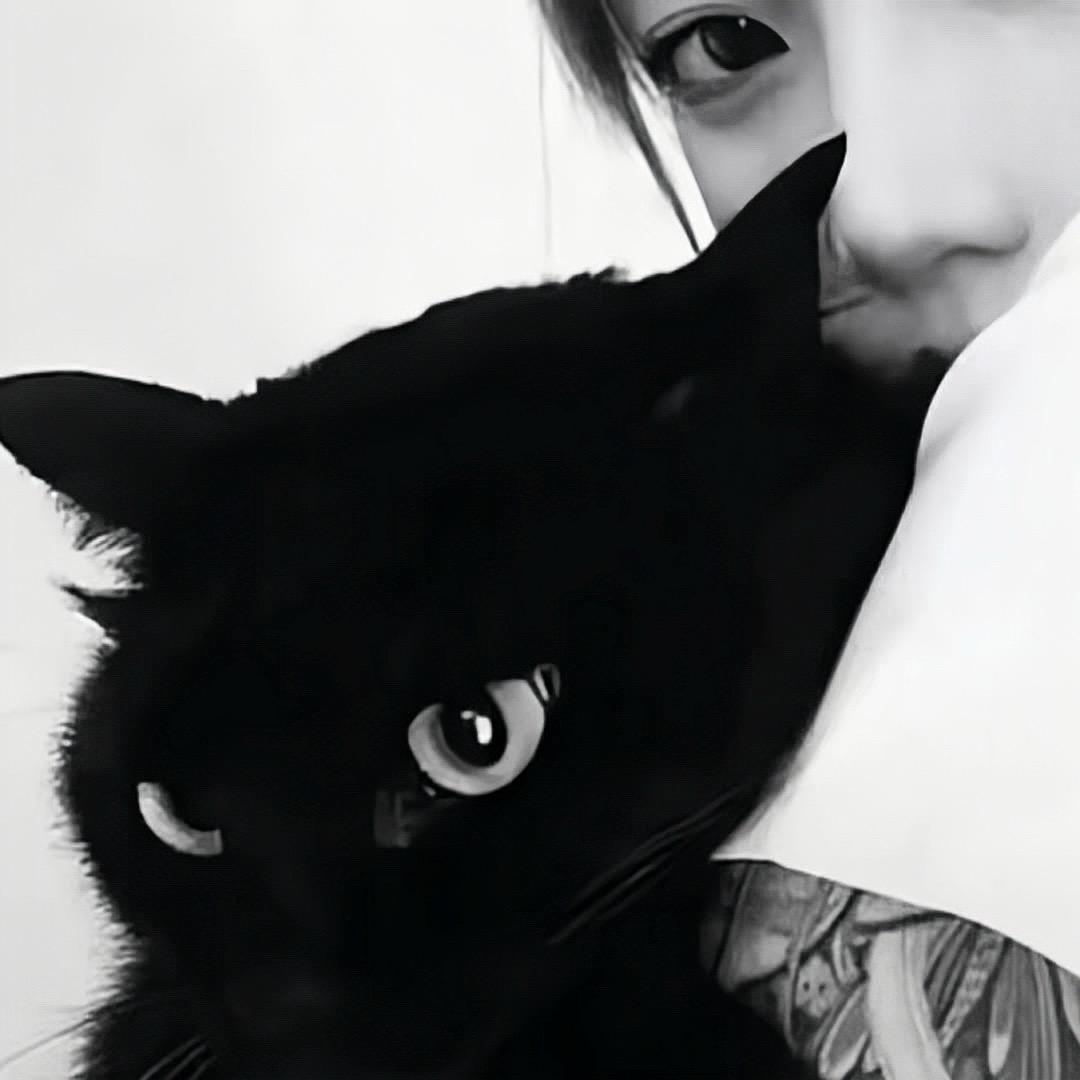 挑什么食             🕷️