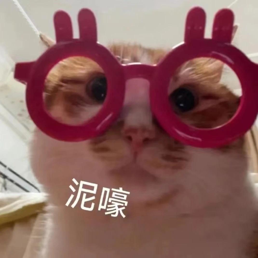 酸奶不吃鱼🐟