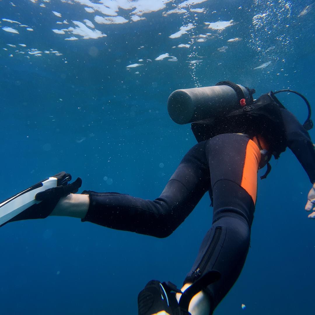 大禹（进阶变帅版）