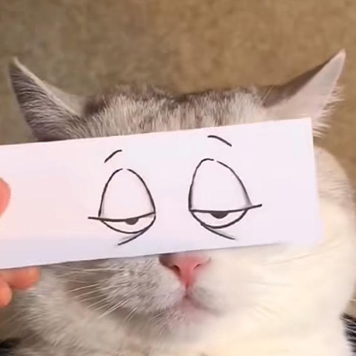 我要去天边看彩虹😂