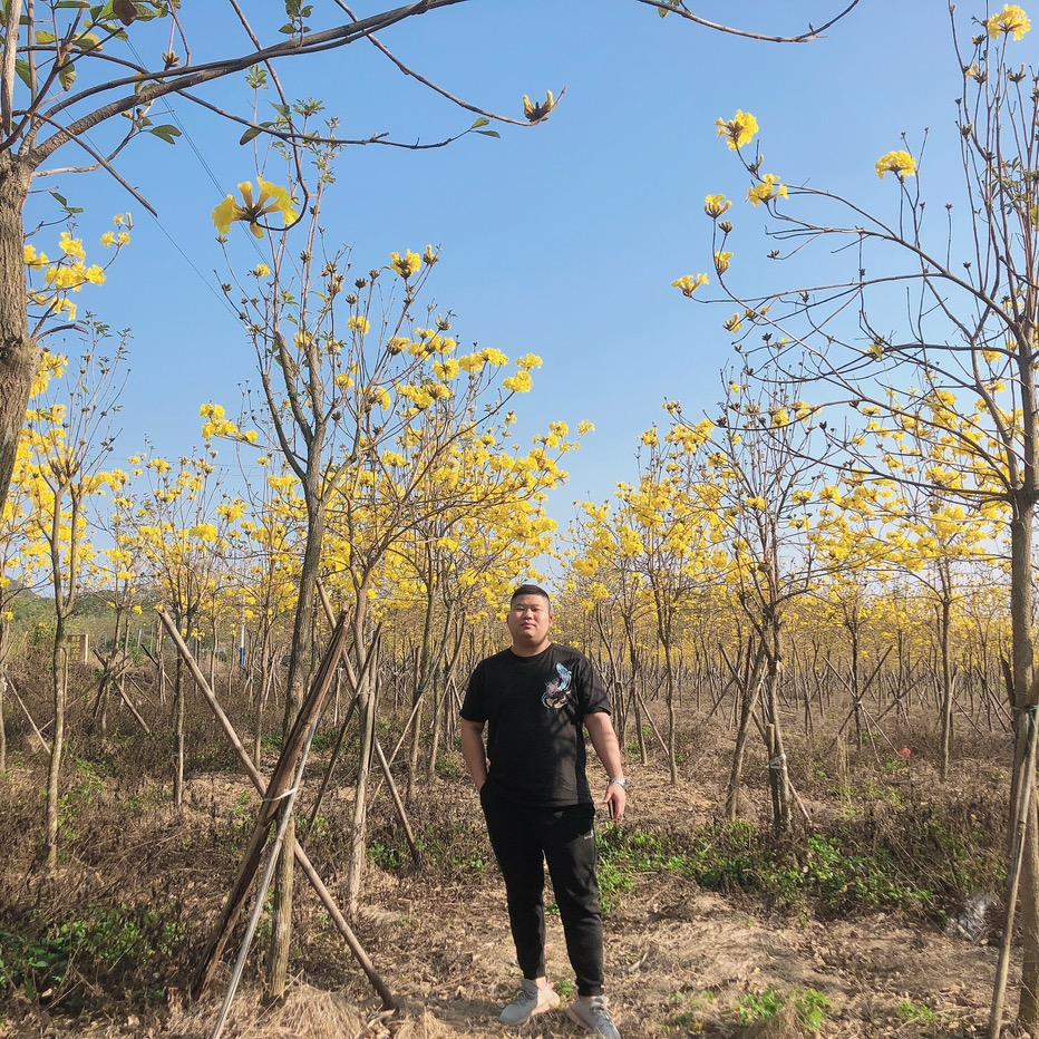 英德（定位小王子👑）四轮定位