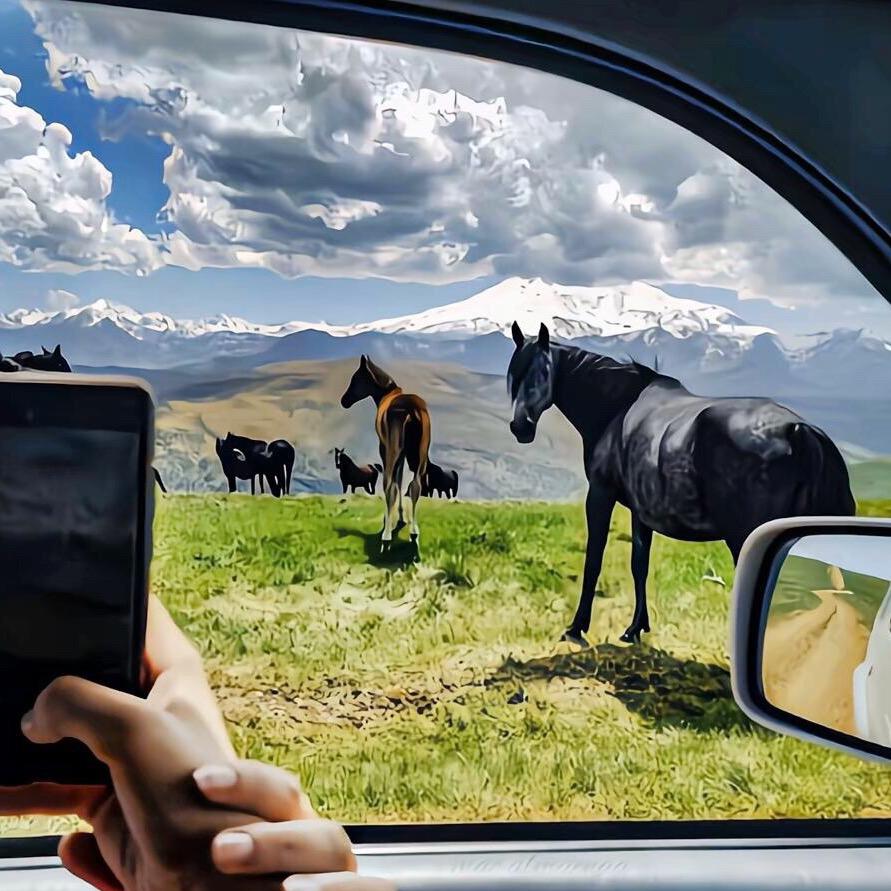 热吾山🎀 rawshian