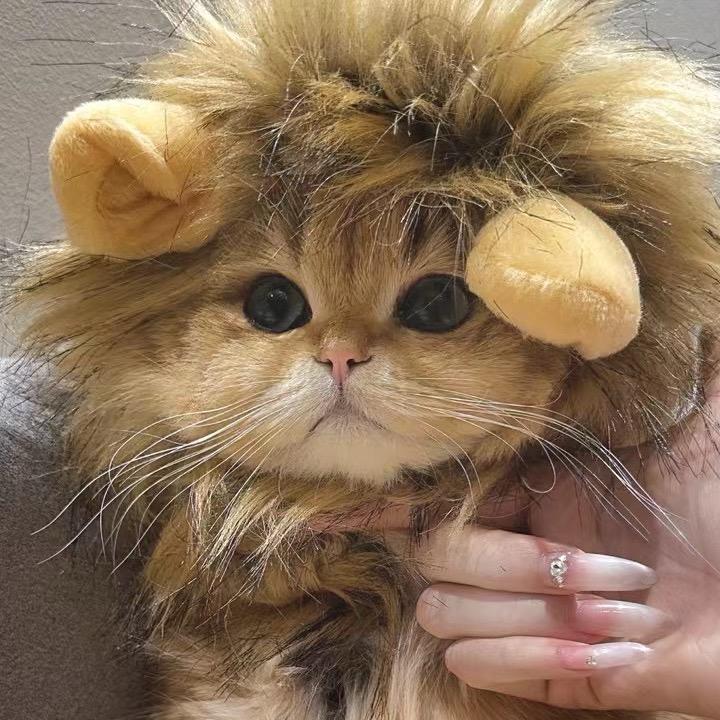 迷ki