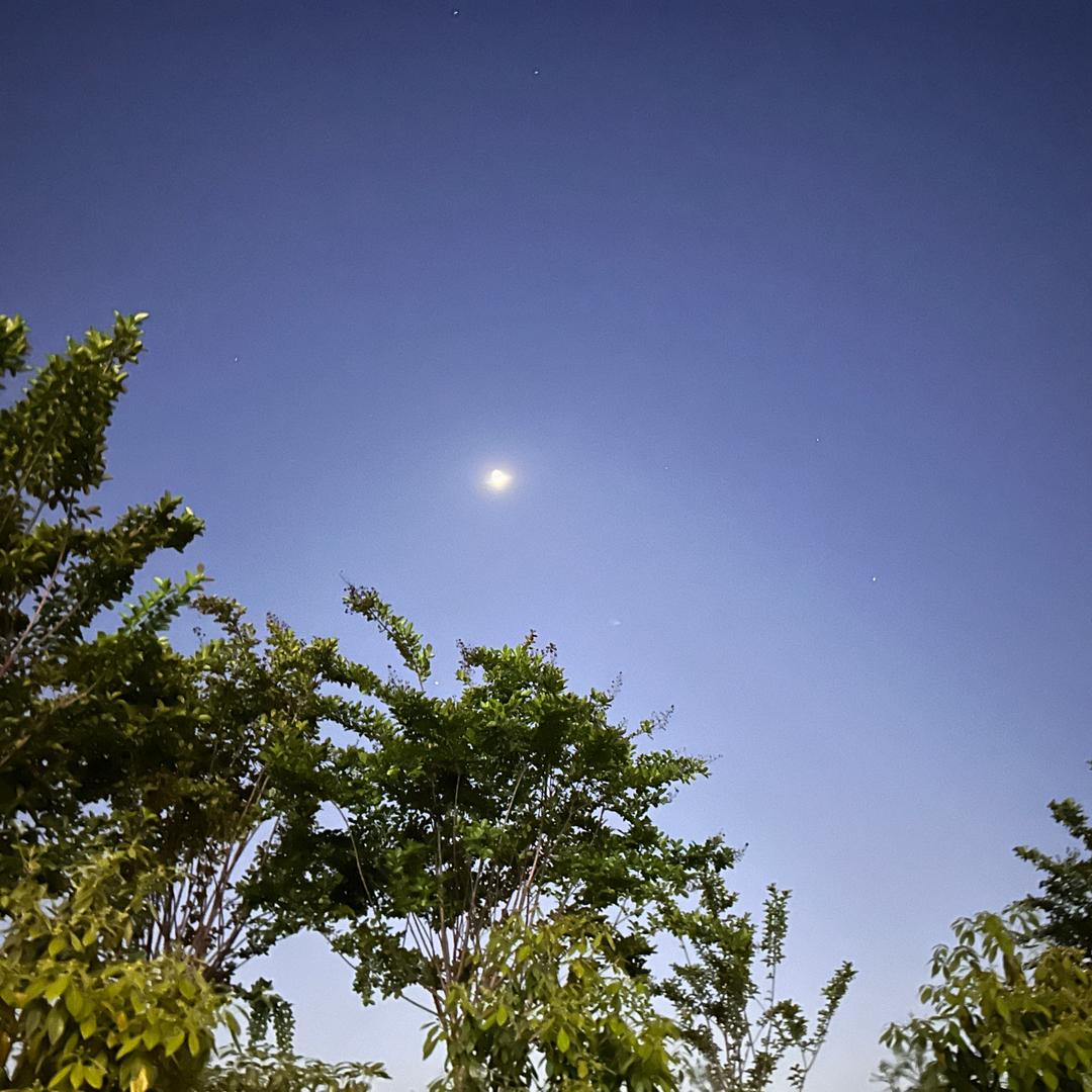 jianhui