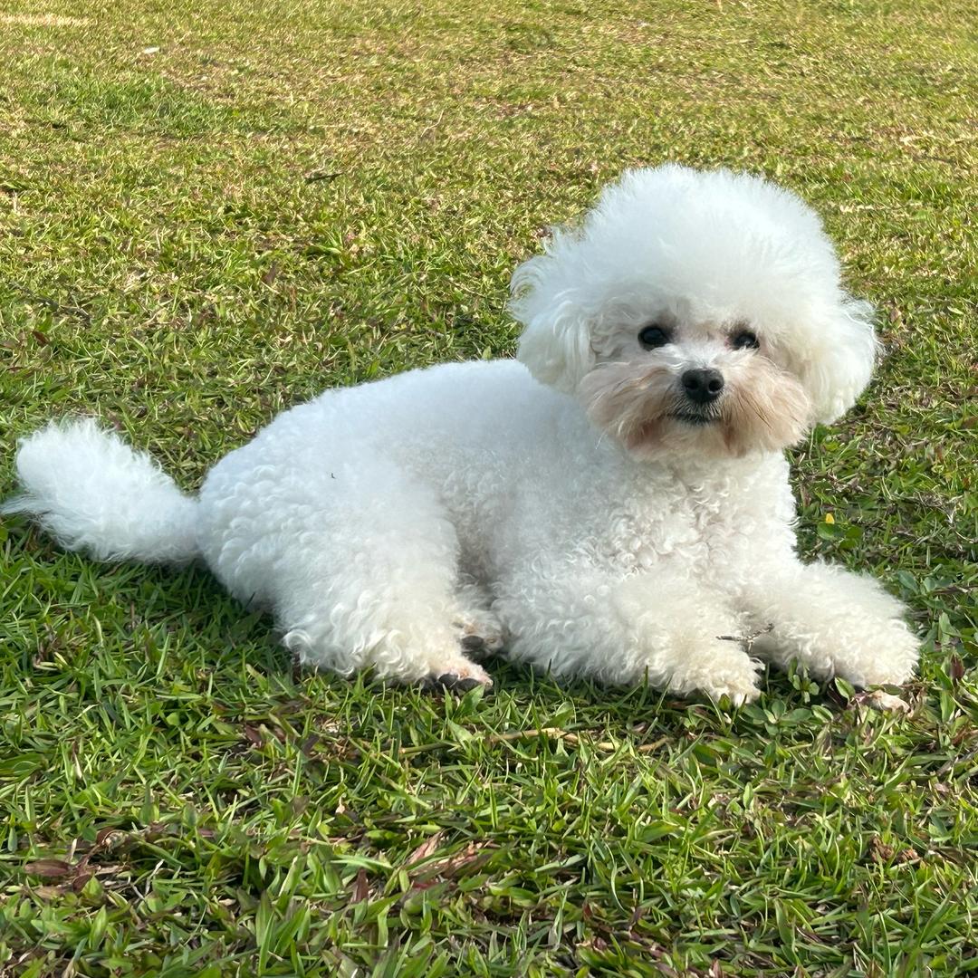 可乐吖