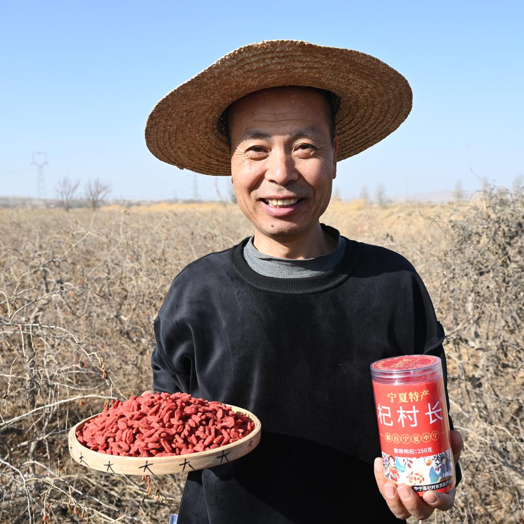 宁夏中宁杞村长枸杞
