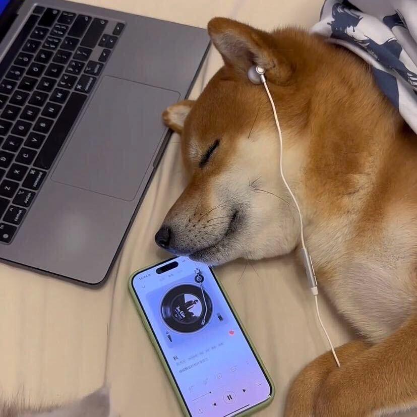 老夫聊发少年狂、