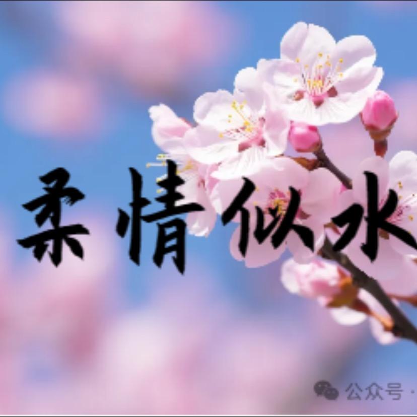 🌸柔情似水🌸💄