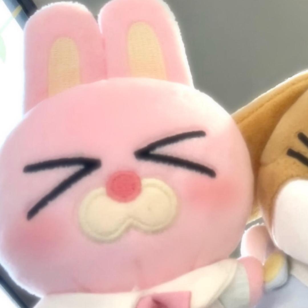 兔兔耳朵🐰