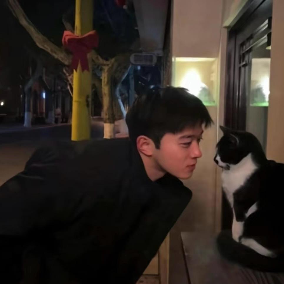 别惹番茄鸡蛋面