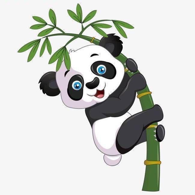 鹏