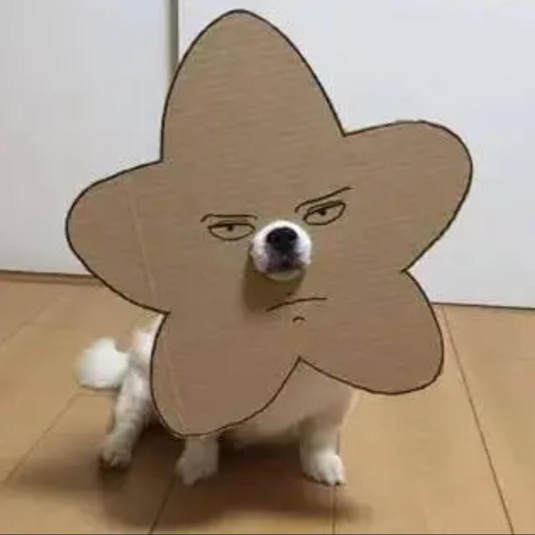 。。