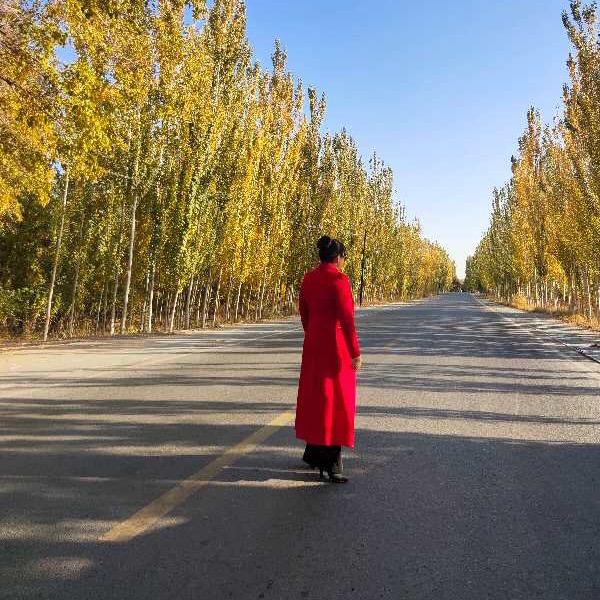 用户有你就有我