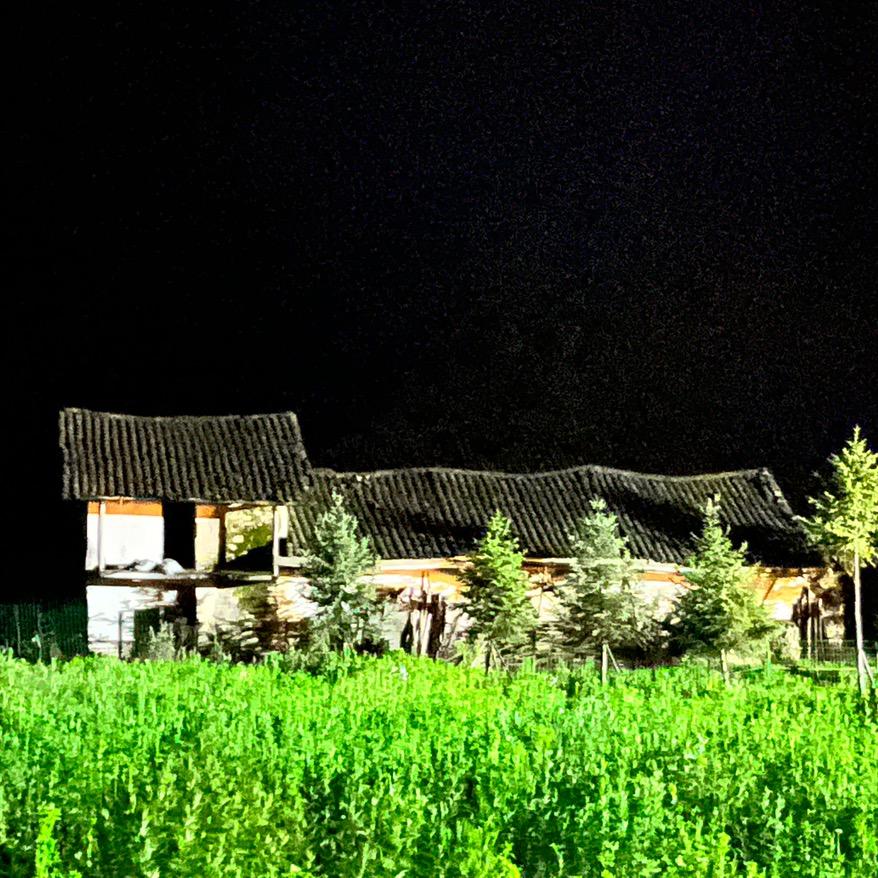 不是轻松是青松