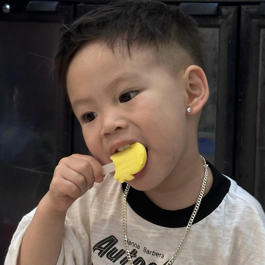 咸鱼进脑袋
