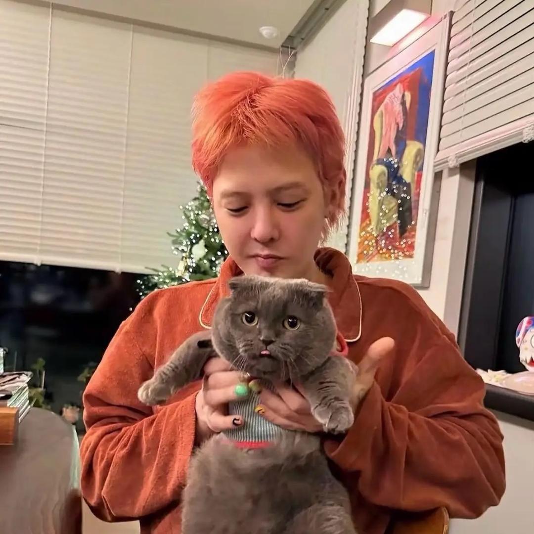 吱屋猪