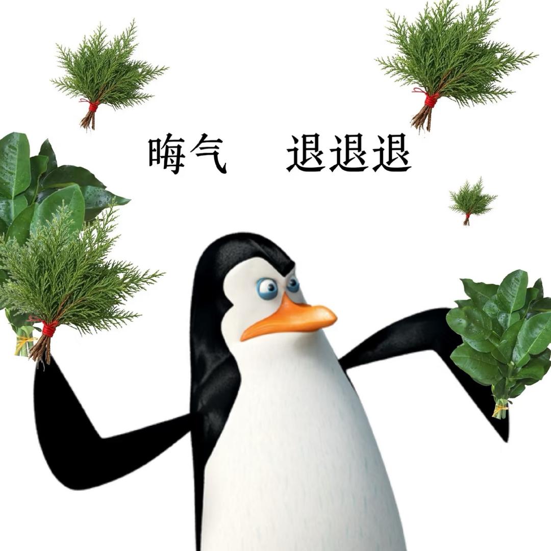 灰灰🐱