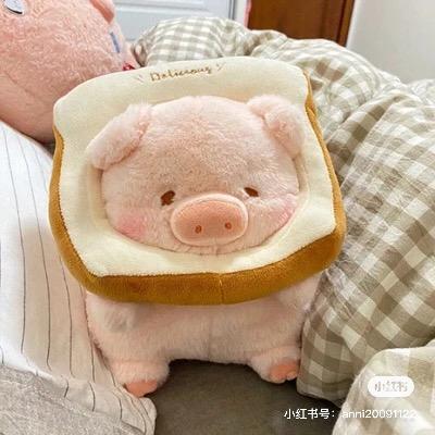 秋秋猪