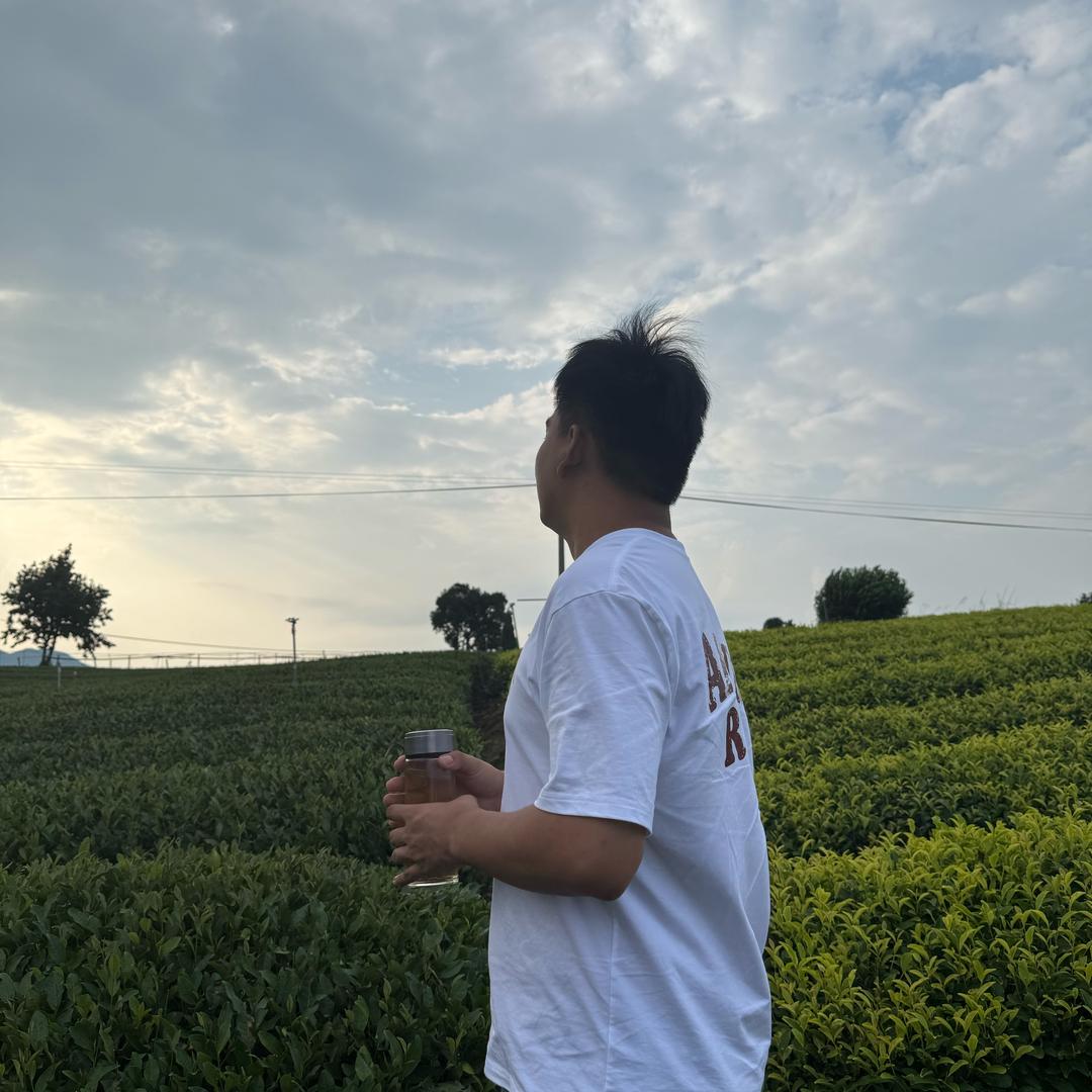 阿涛家的茶