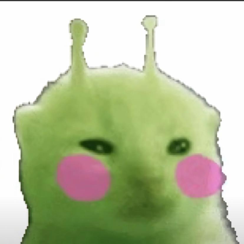 是豹哥