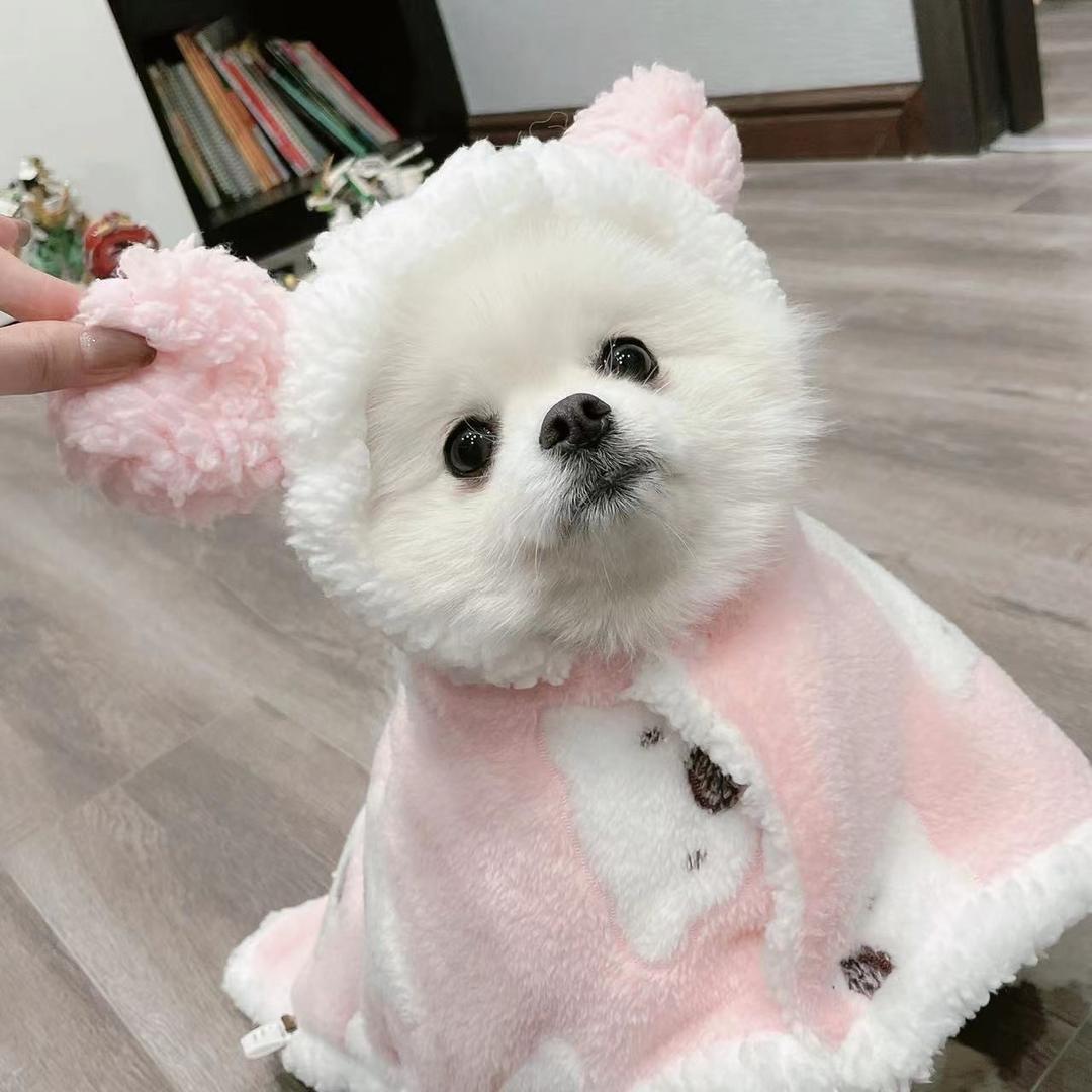 张三