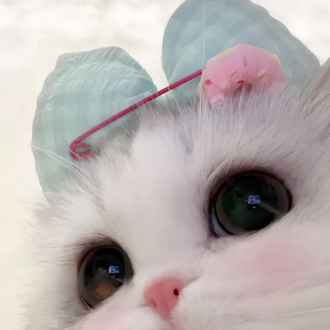梨椰
