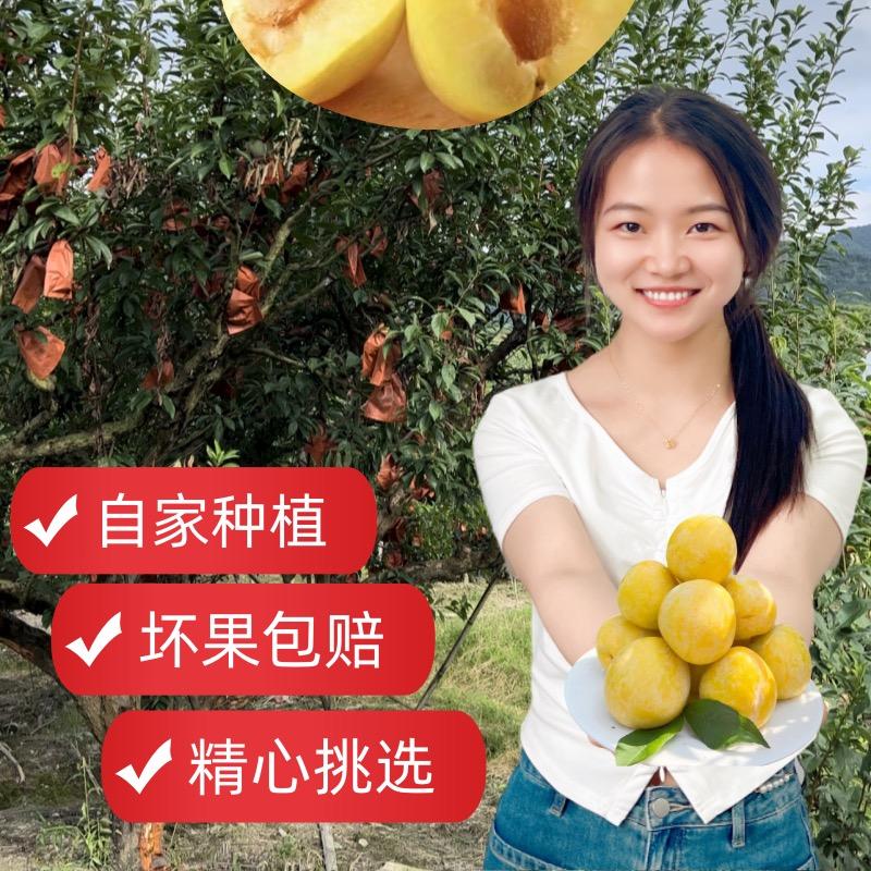 专搞山货的小兰
