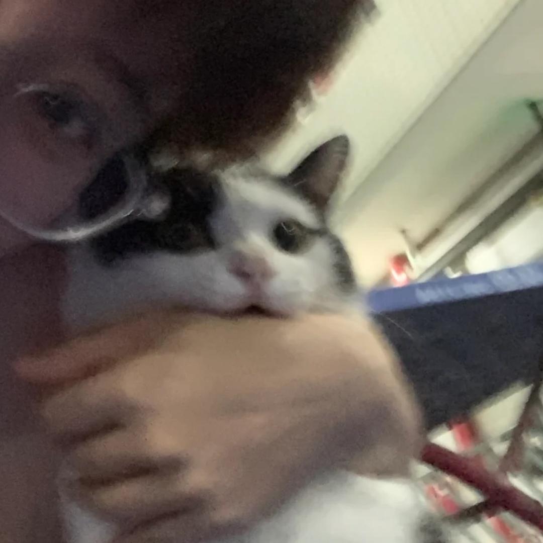 qq.