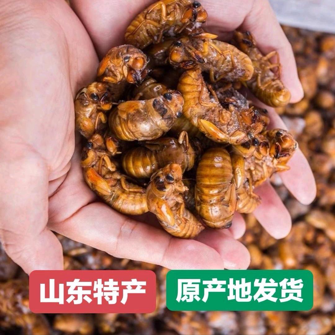 小李助农生鲜店