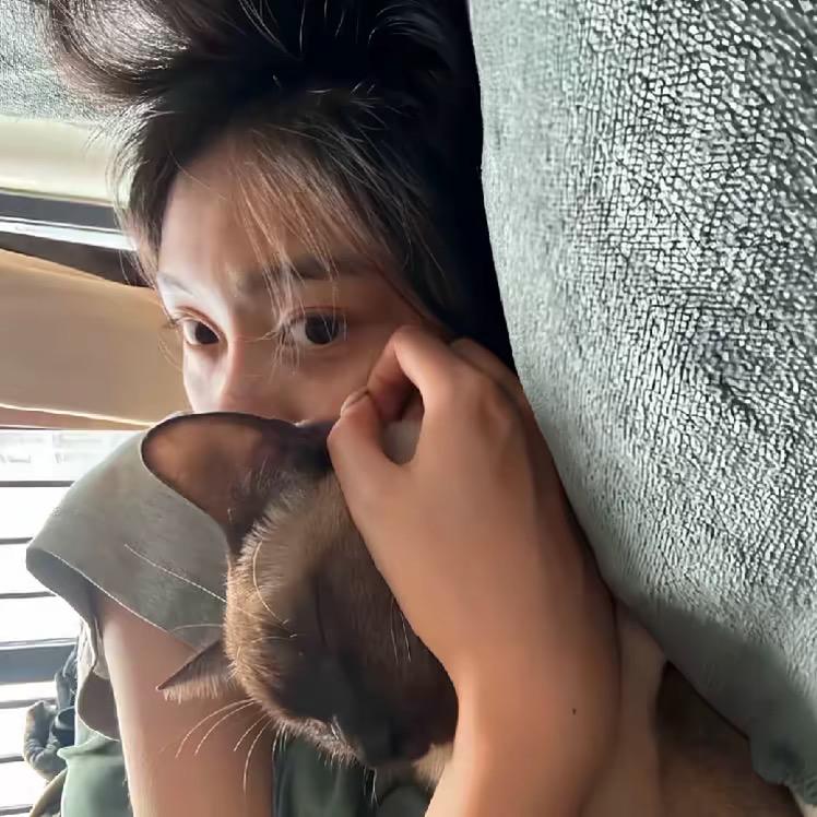 凌晨的晚安