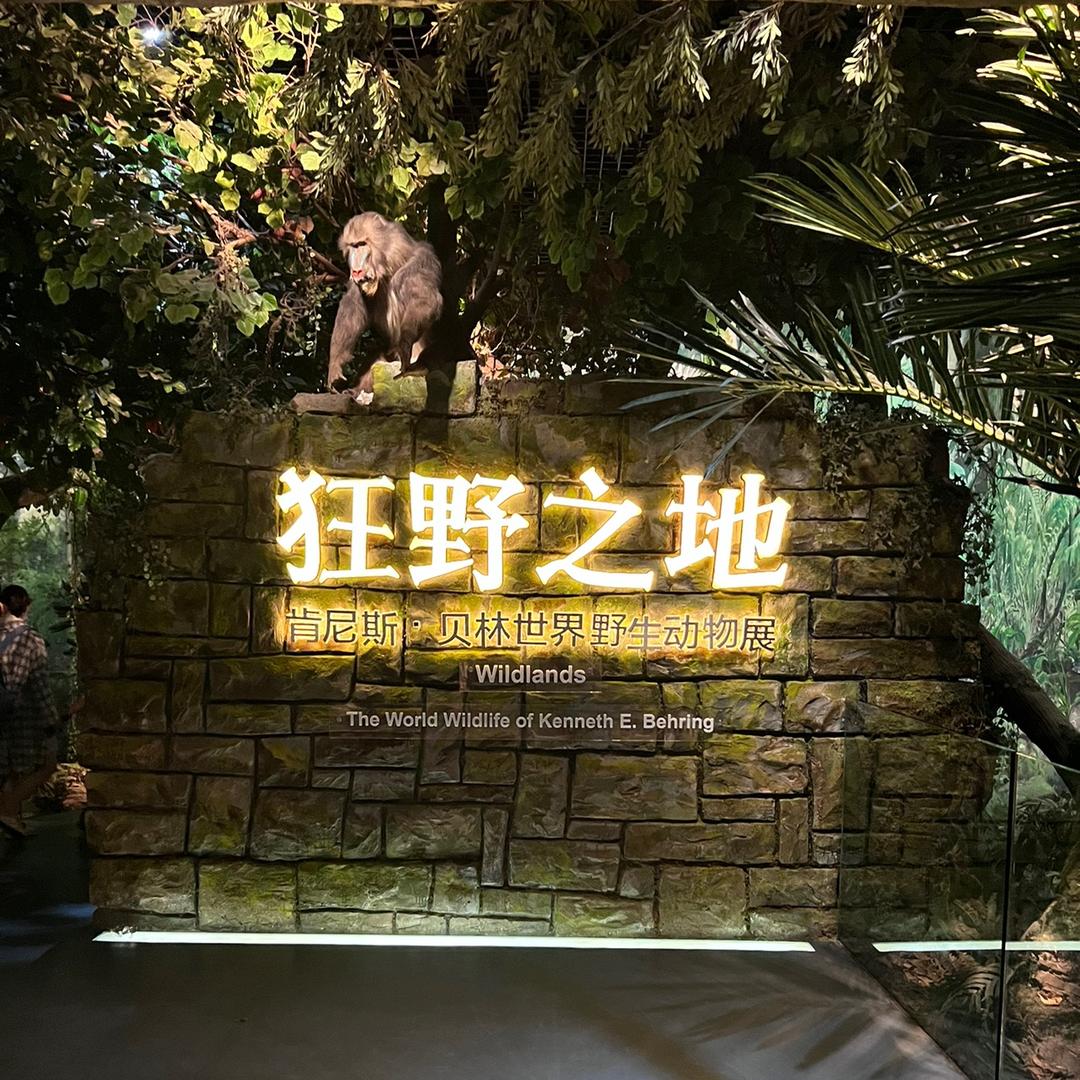夏天和西瓜更配