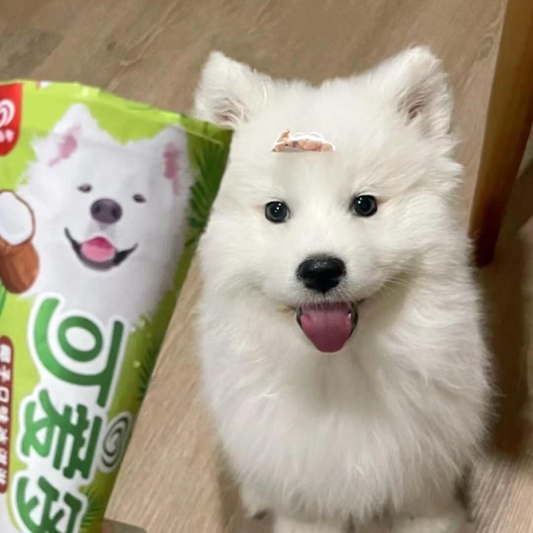 黄桃罐头🥫